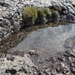IJSLAND 300pic  0309