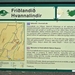 IJSLAND 300pic  0314