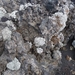 IJSLAND 300pic  0323
