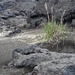 IJSLAND 300pic  0326