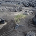 IJSLAND 300pic  0327