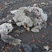 IJSLAND 300pic  0330