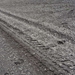 IJSLAND 300pic  0336