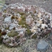 IJSLAND 300pic  0344