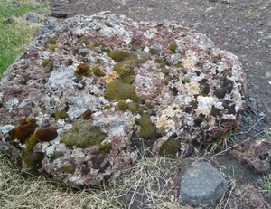 IJSLAND 300pic  0344
