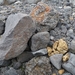 IJSLAND 300pic  0346