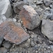IJSLAND 300pic  0347