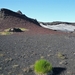 IJSLAND 300pic  0365