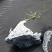 IJSLAND 300pic  0372