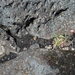 IJSLAND 300pic  0378