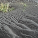 IJSLAND 300pic  0379