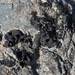 IJSLAND 300pic  0383
