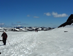 IJSLAND 300pic  0395