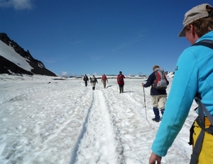 IJSLAND 300pic  0396