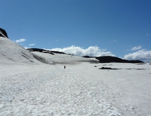 IJSLAND 300pic  0397