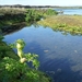 IJSLAND 300pic  0417
