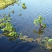IJSLAND 300pic  0418
