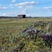 IJSLAND 300pic  0422