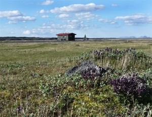 IJSLAND 300pic  0422