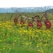 IJSLAND 300pic  0437