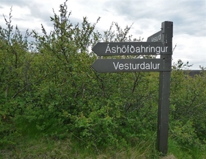 IJSLAND 300pic  0440