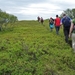 IJSLAND 300pic  0442