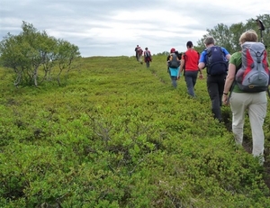 IJSLAND 300pic  0442