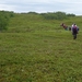 IJSLAND 300pic  0443