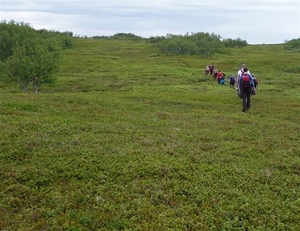 IJSLAND 300pic  0443