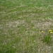 IJSLAND 300pic  0444