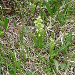 IJSLAND 300pic  0446