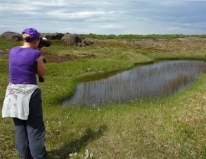 IJSLAND 300pic  0473