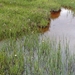 IJSLAND 300pic  0475