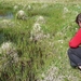 IJSLAND 300pic  0476