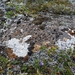 IJSLAND 300pic  0477