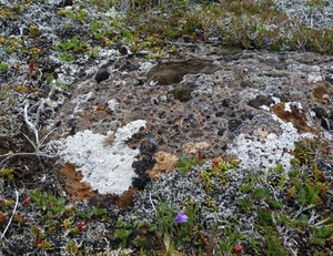 IJSLAND 300pic  0477