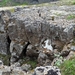 IJSLAND 300pic  0478