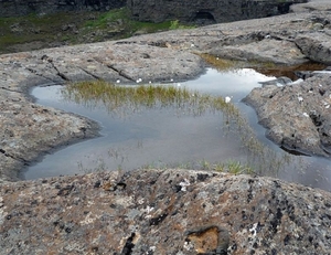 IJSLAND 300pic  0484