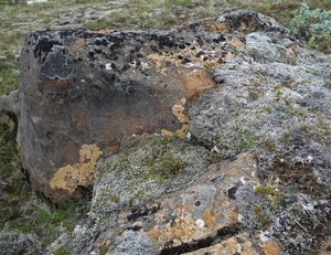 IJSLAND 300pic  0486