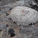 IJSLAND 300pic  0487