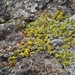 IJSLAND 300pic  0490