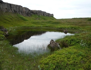 IJSLAND 300pic  0492