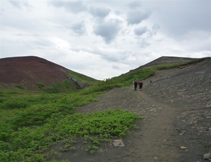 IJSLAND 300pic  0494