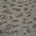 IJSLAND 300pic  0496