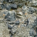 IJSLAND 300pic  0503