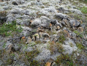 IJSLAND 300pic  0506