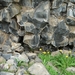 IJSLAND 300pic  0522