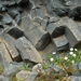 IJSLAND 300pic  0523