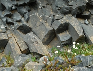 IJSLAND 300pic  0523
