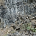 IJSLAND 300pic  0527